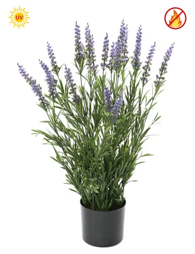 LAVENDEL TOPF 55 CM (Plast)...