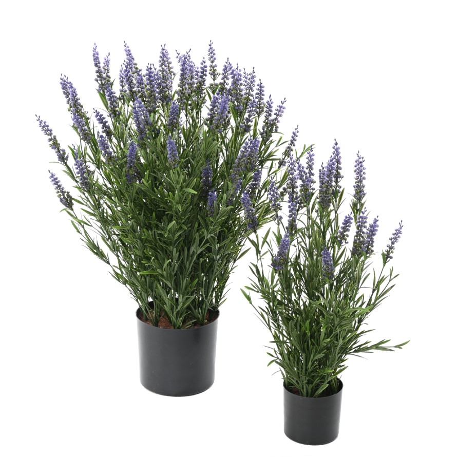 LAVENDEL TOPF 55 CM (Plast) UV FR – UV-BESTÄNDIG/FEUERBESTÄNDIG