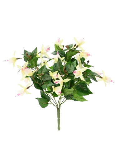 GLOCKENBLUME BLÜHEND