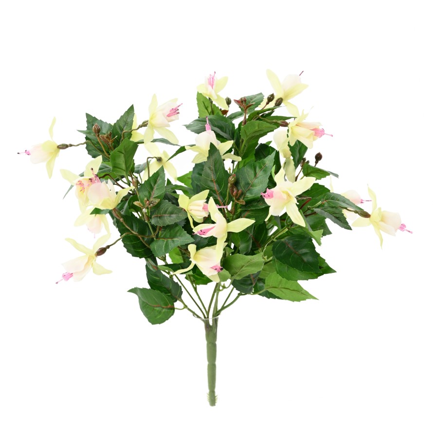 GLOCKENBLUME BLÜHEND