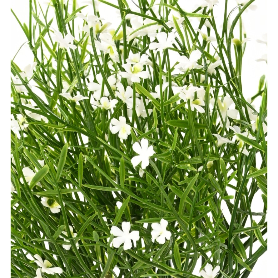 MARGERITE MINI STECKSTAB