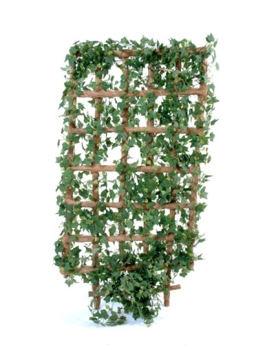EFEU WAND