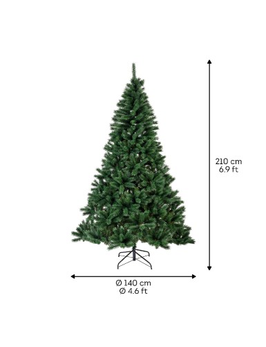 TANNE (Weihnachtsbaum) KANADA