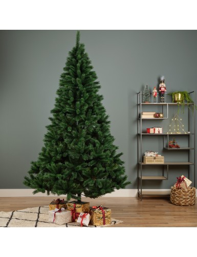 TANNE (Weihnachtsbaum) KANADA