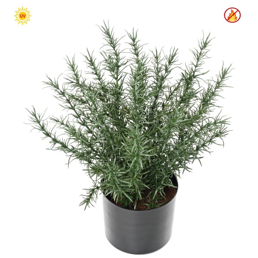 ROSMARIN TOPF 35 CM (plast) UV FR - UV BESTÄNDIG/FEUERBESTÄNDIG