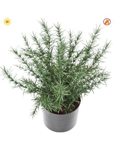 ROMARIN 35 POT UV FR - UV RESISTANT/FIRE RESISTANT
