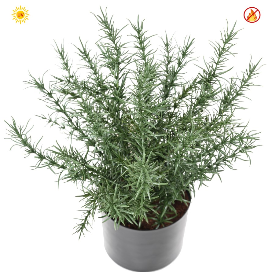 ROSMARIN TOPF 35 CM (plast) UV FR - UV BESTÄNDIG/FEUERBESTÄNDIG
