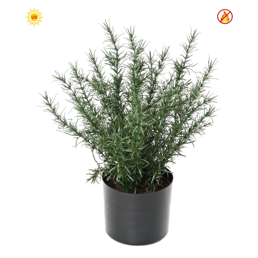 ROMARIN 35 POT UV FR - UV RESISTANT/FIRE RESISTANT