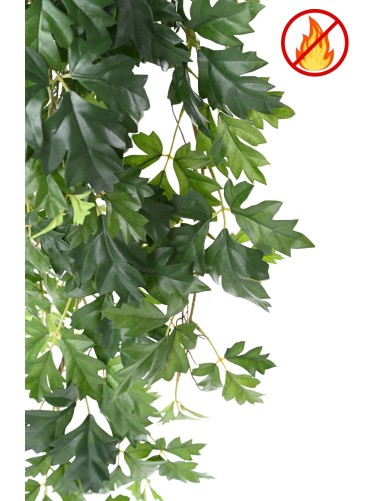 GRAPE IVY HANGING BUSH 80 FR - Fire Resistant