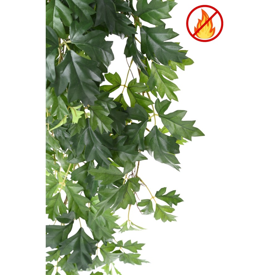 GRAPE IVY HANGING BUSH 80 FR - Fire Resistant