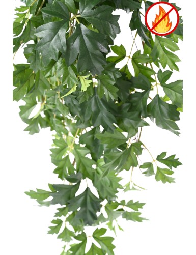 GRAPE IVY HANGING BUSH 80 FR - Fire Resistant