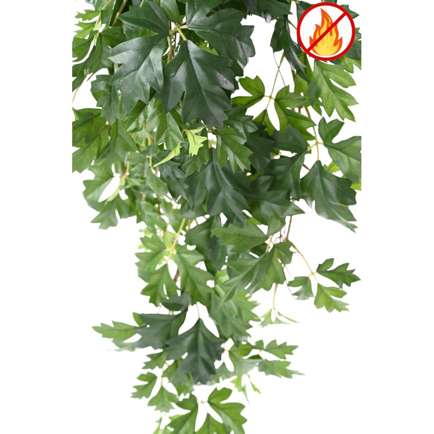 CISSUS HÄNGENKUNSTPFLANZE 80 FR – Feuerbeständiges