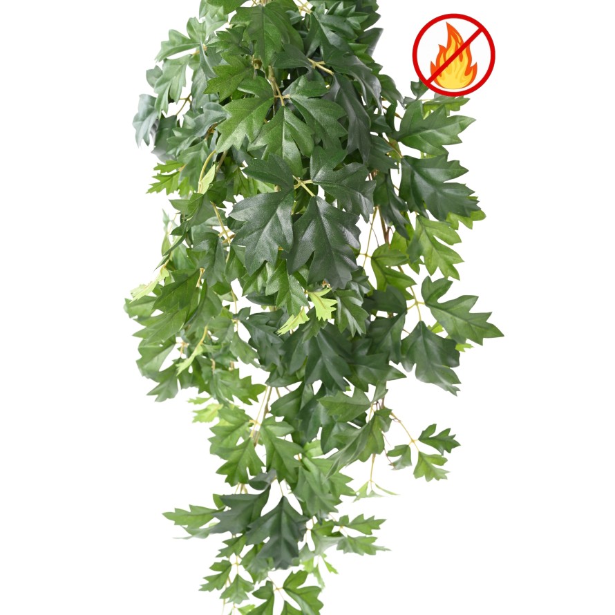 GRAPE IVY HANGING BUSH 80 FR - Fire Resistant