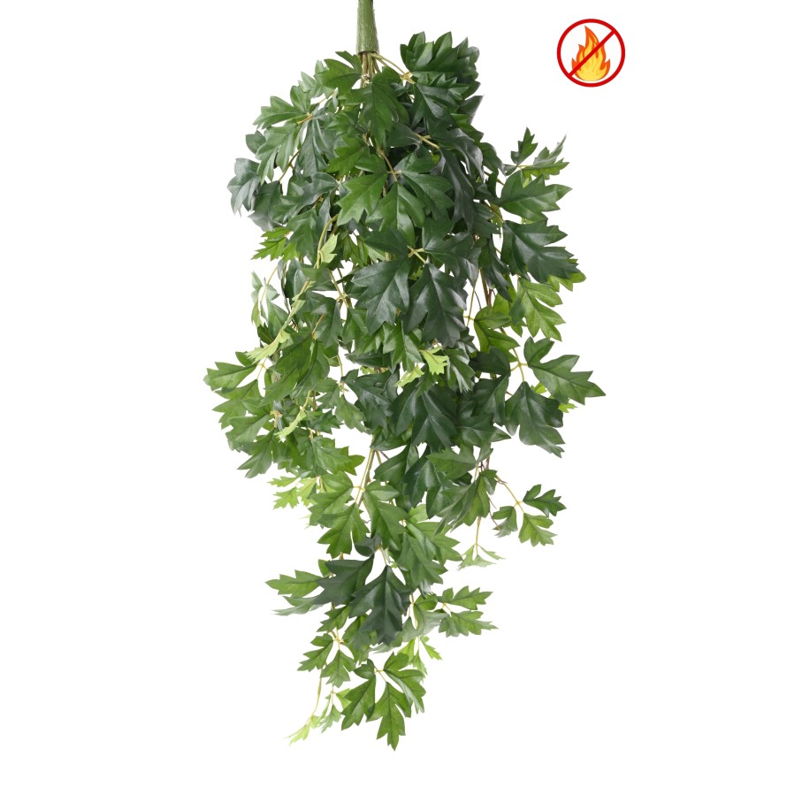 GRAPE IVY HANGING BUSH 80 FR - Fire Resistant