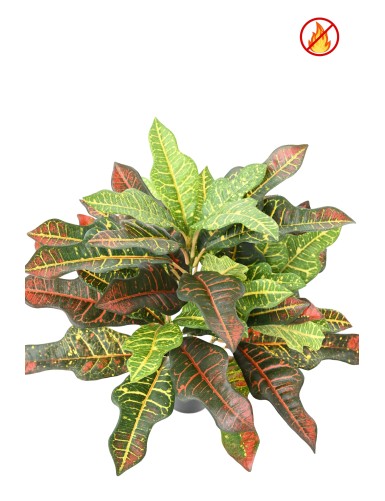 CROTON 32 TOPF FR – Feuerbeständig