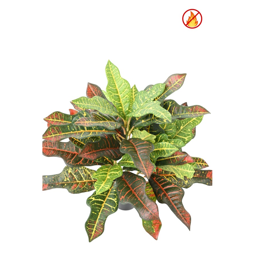 CROTON 32 TOPF FR – Feuerbeständig