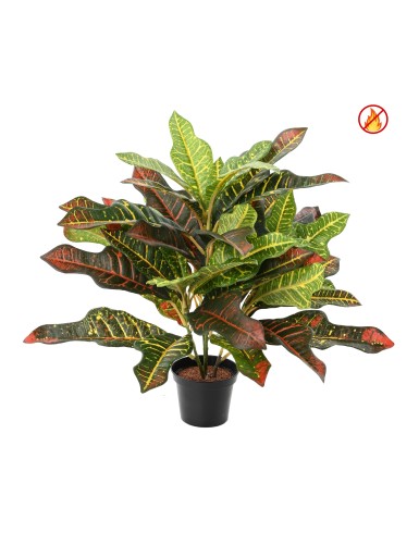 CROTON 42 TOPF FR –...