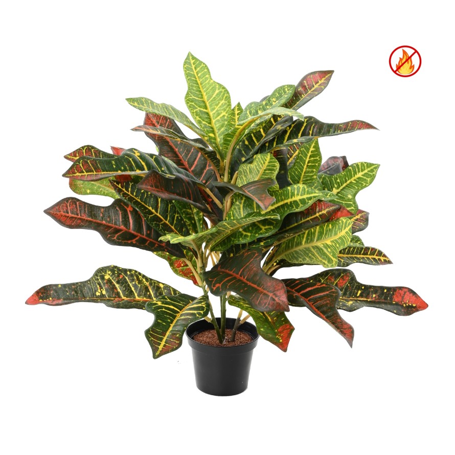CROTON 32 POT FR - Fire Resistant