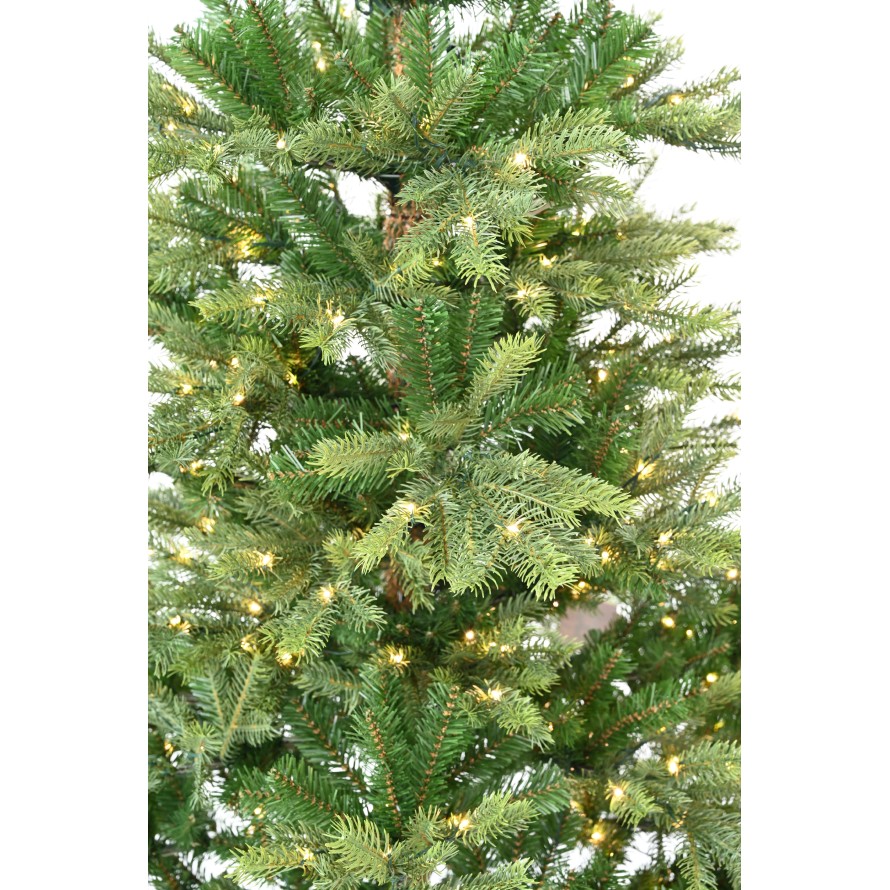 TANNE (Weihnachtsbaum) GRANDIS MIT INTEGRIERTER BELEUCHTUNG