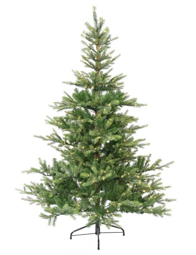 TANNE (Weihnachtsbaum)...