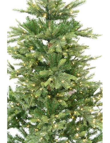 SAPIN GRANDIS PRE-ILLUMINE