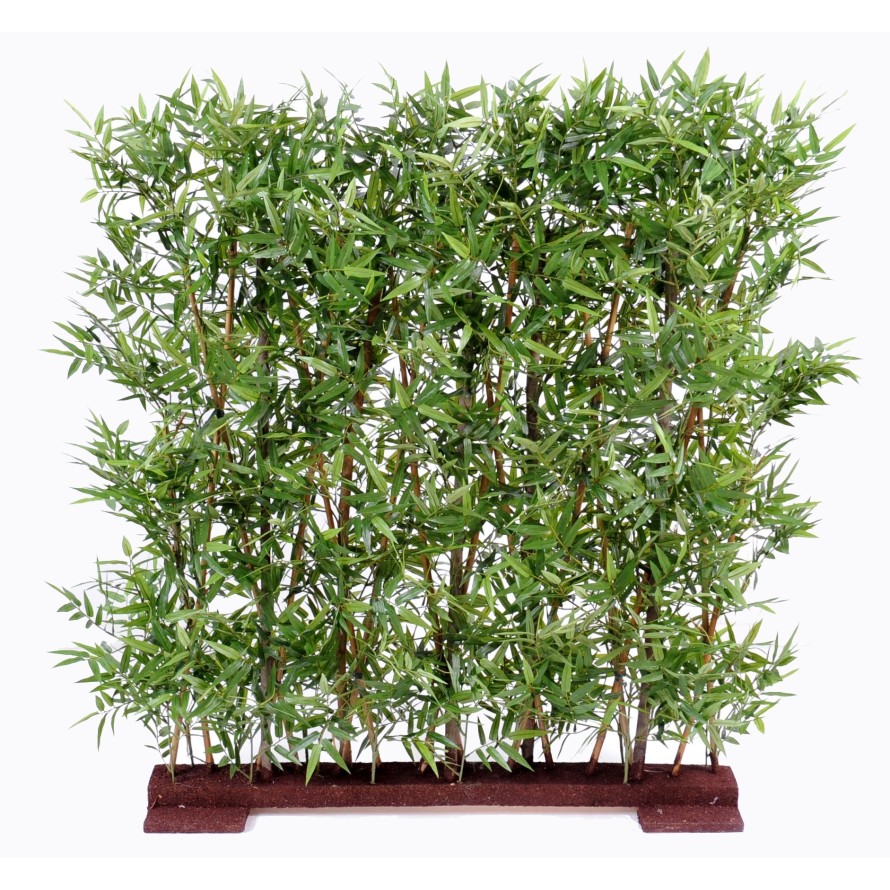BAMBUS ORIENTALISCH DICHTE HECKE