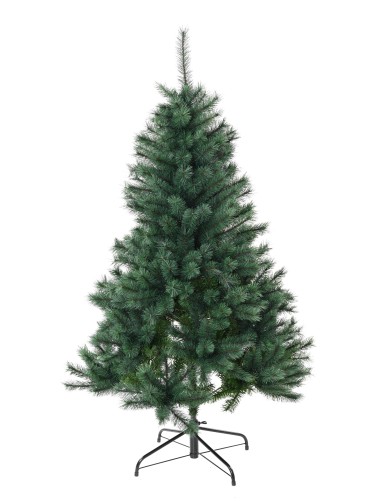 TANNE (Weihnachtsbaum) KANADA
