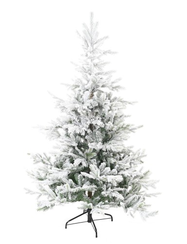 TANNE (Weihnachtsbaum)...