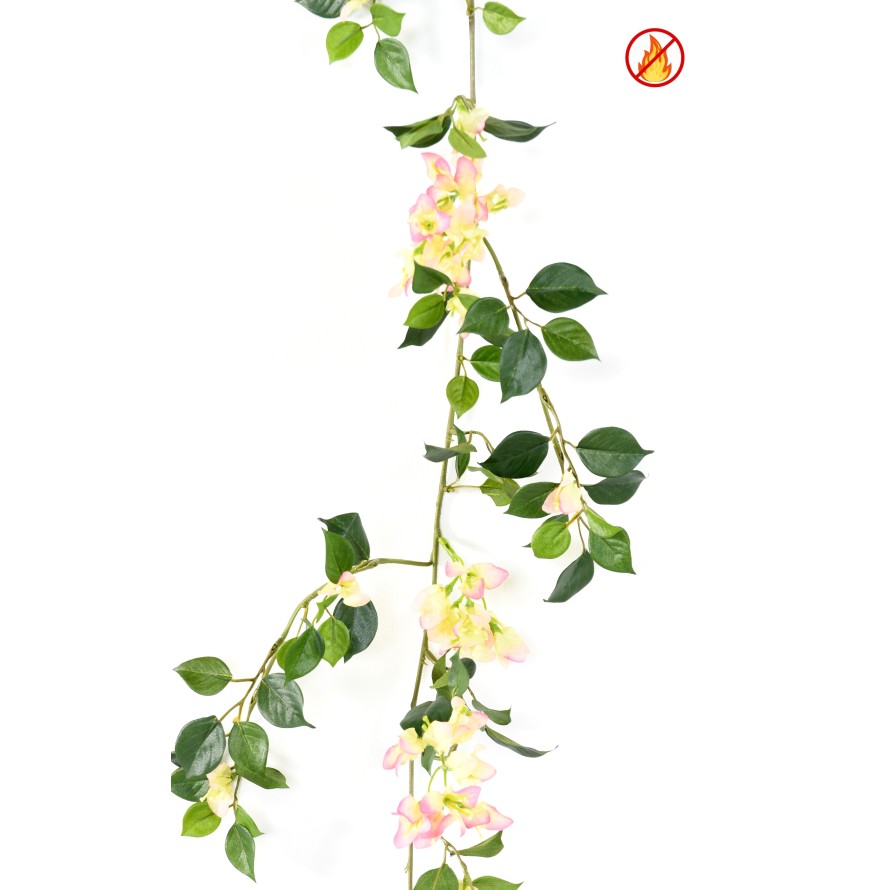 BOUGAINVILLEE GUIRLANDE FR - Fire Resistant