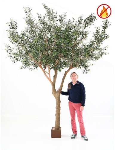 OLIVIER ARBRE L FR - Fire Resistant
