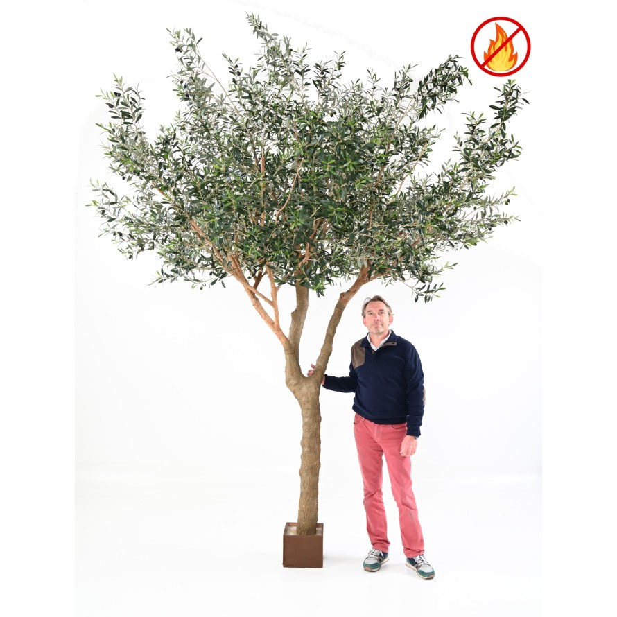 OLIVE TREE L FR - Fire Resistant