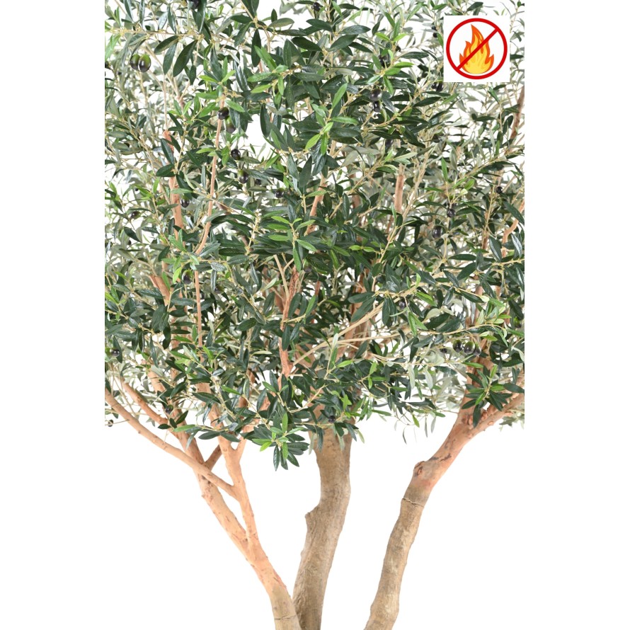 OLIVIER ARBRE L FR - Fire Resistant