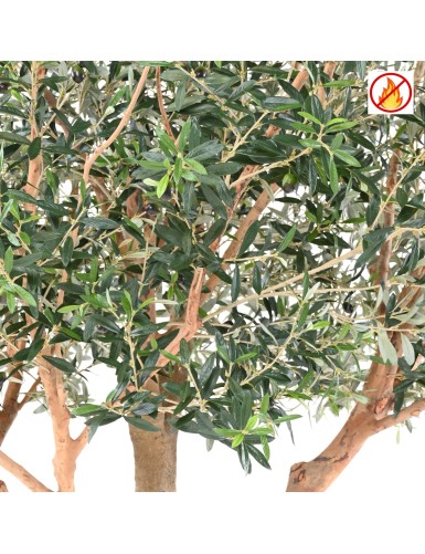 OLIVE TREE L FR - Fire Resistant