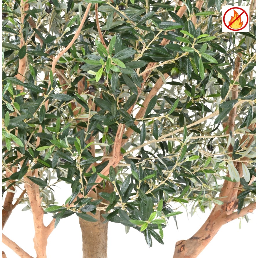 OLIVE TREE L FR - Fire Resistant