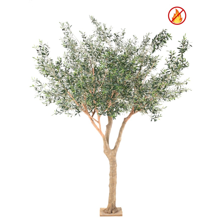 OLIVIER ARBRE L FR - Fire Resistant
