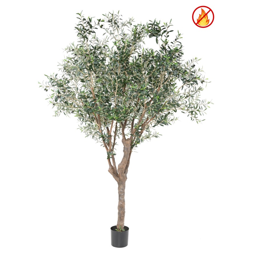 OLIVIER ARBRE M FR - Fire Resistant