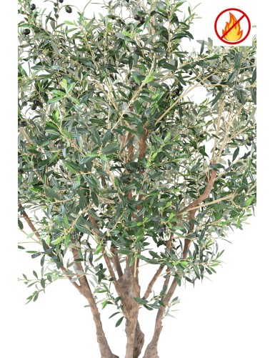 OLIVO ÁRBOL M FR - Resistente al Fuego