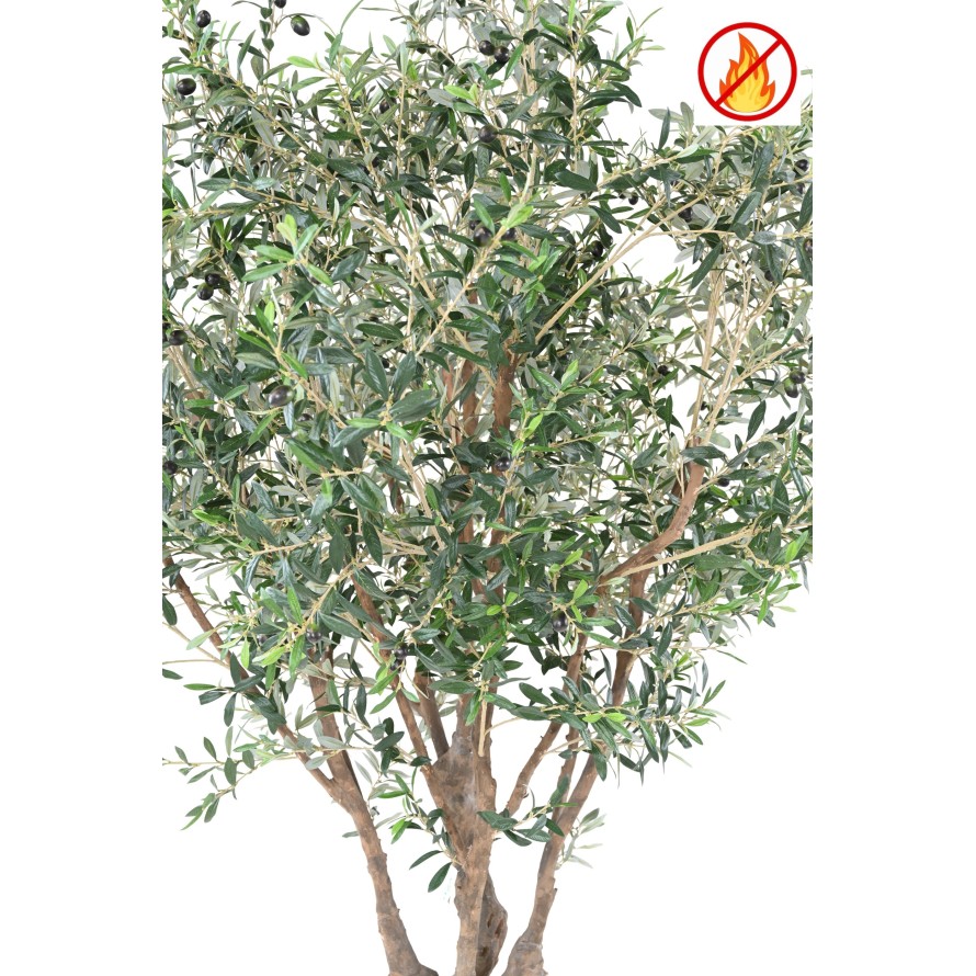 OLIVIER ARBRE M FR - Fire Resistant