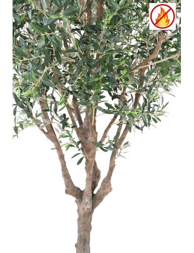 OLIVIER ARBRE M FR - Fire Resistant