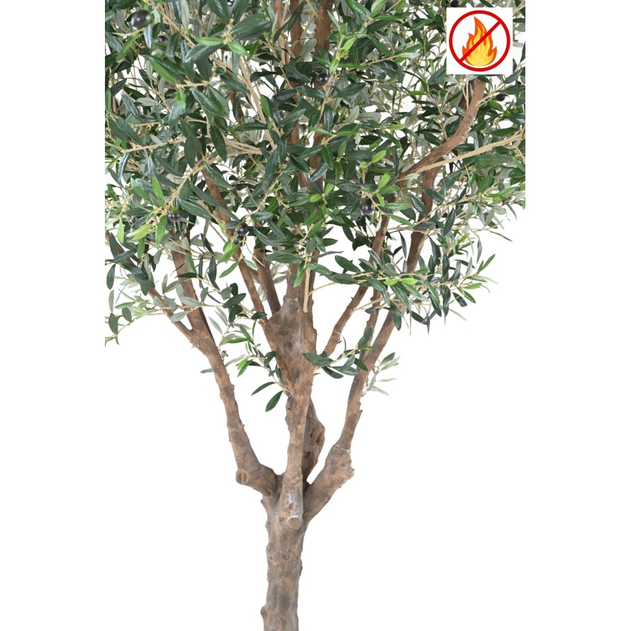 OLIVENBAUM M FR – Feuerbeständig