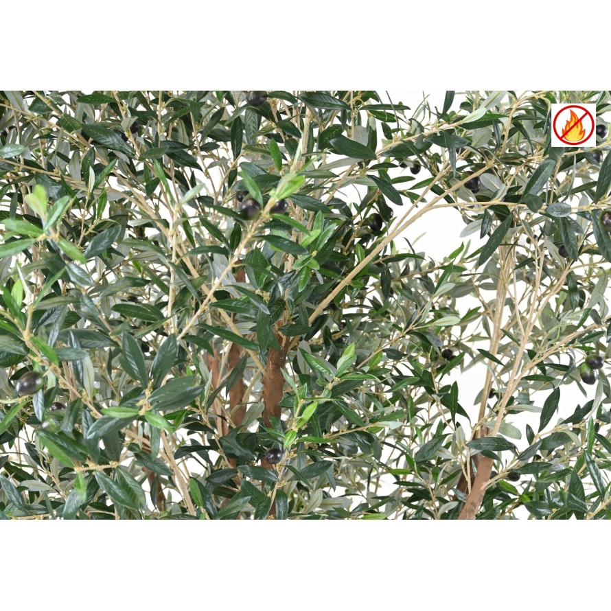 OLIVE TREE M FR - Fire Resistant