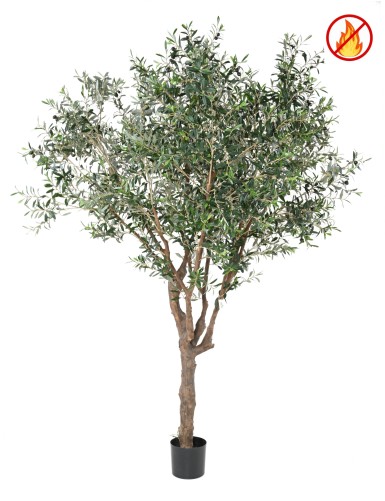OLIVE TREE M FR - Fire Resistant