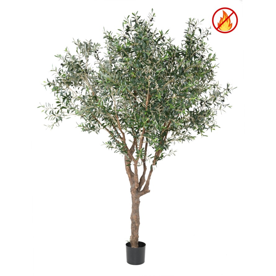 OLIVE TREE M FR - Fire Resistant
