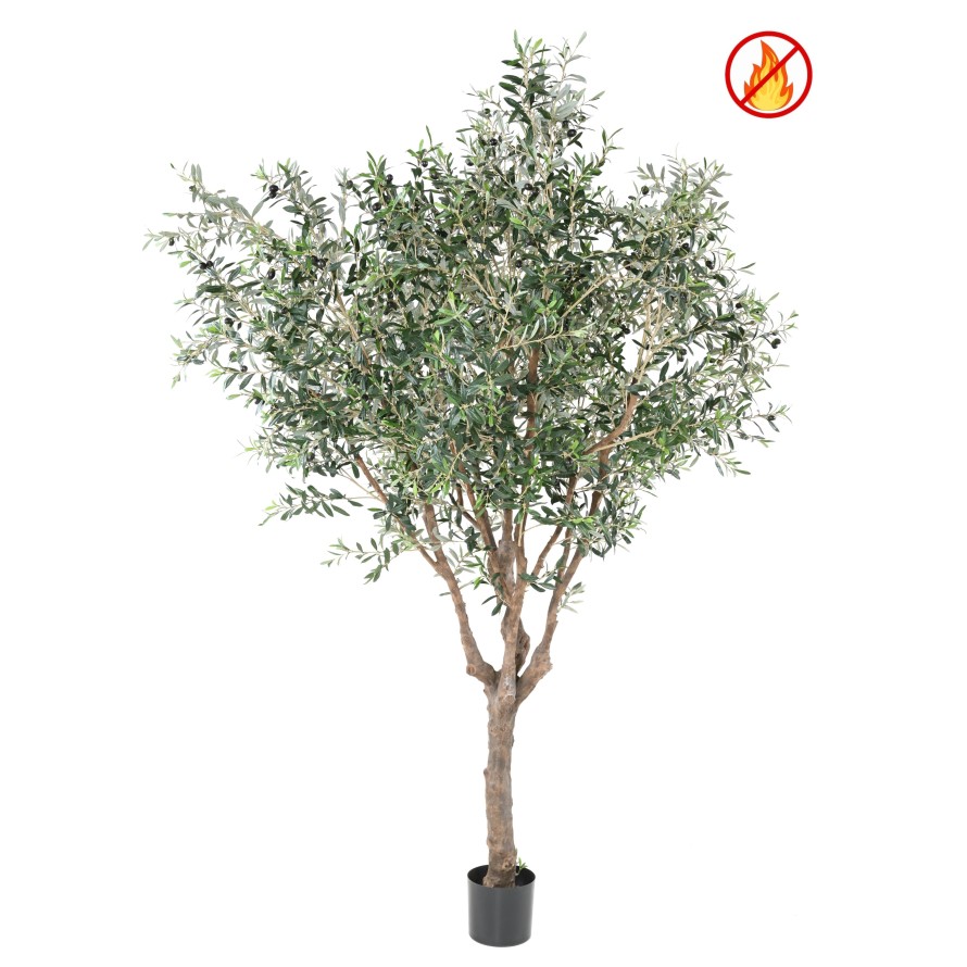 OLIVE TREE M FR - Fire Resistant