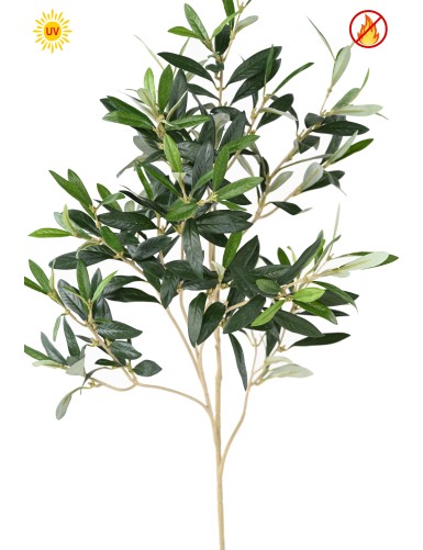 OLIVO RAMA sin frutos UV FR...