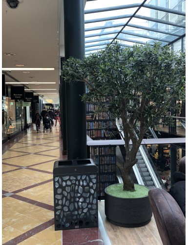 OLIVE TREE GIANT 240 FR - Fire Resistant