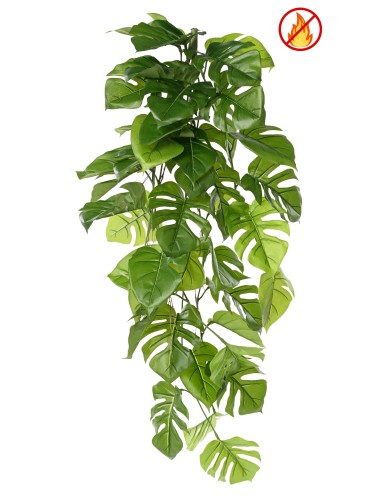 PHILODENDRON MONSTERA CHUTE...