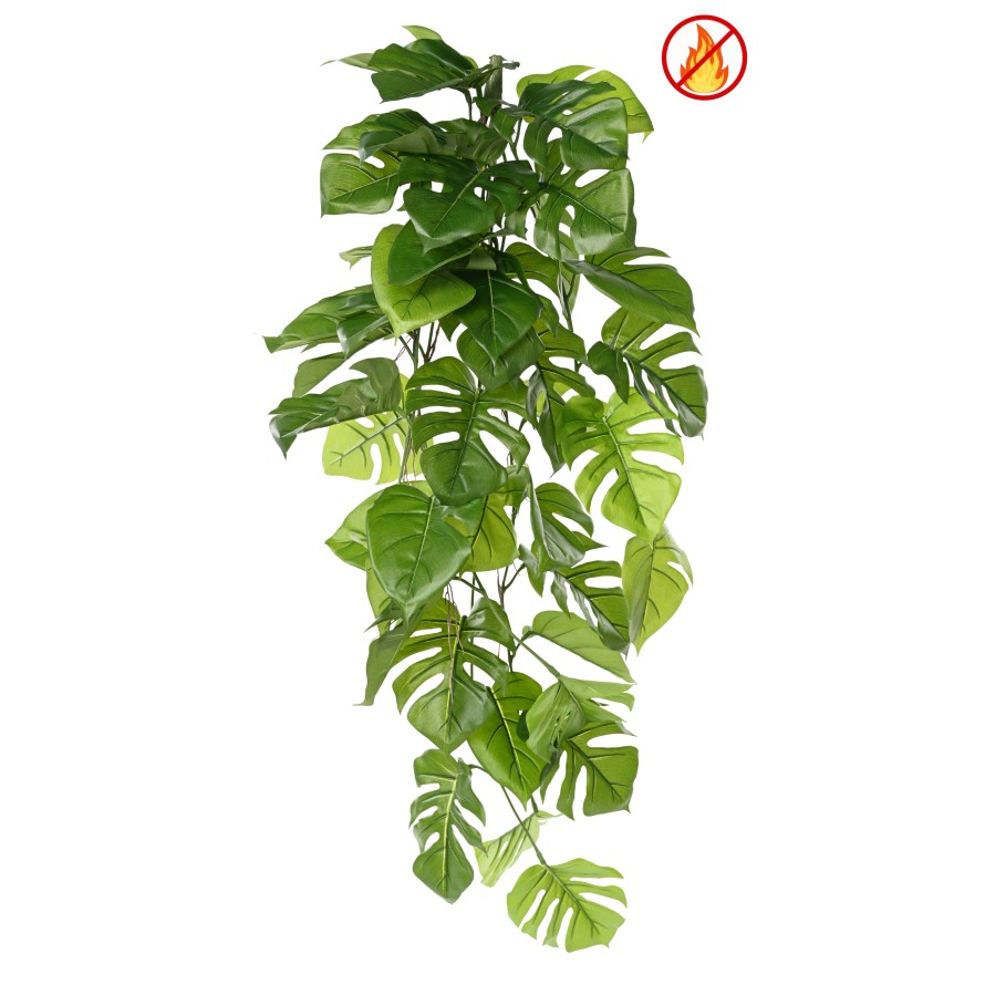 PHILODENDRON MONSTERA COLGANTE 120 FR - resistente al fuego