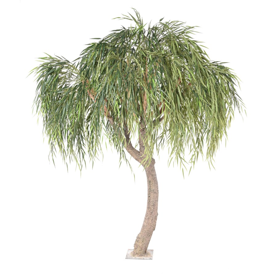 WEIDE WILLOW TREE