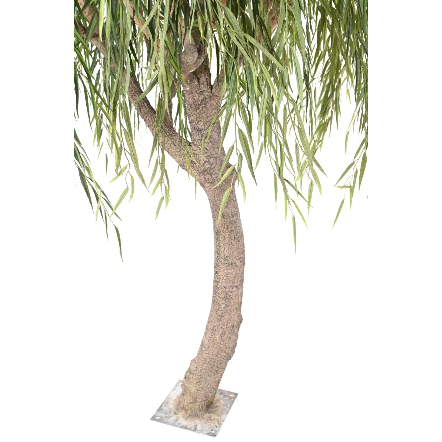 WEIDE WILLOW TREE